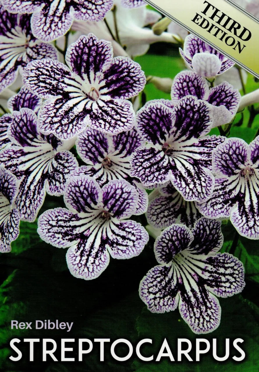 Streptocarpus Book – Dibleys