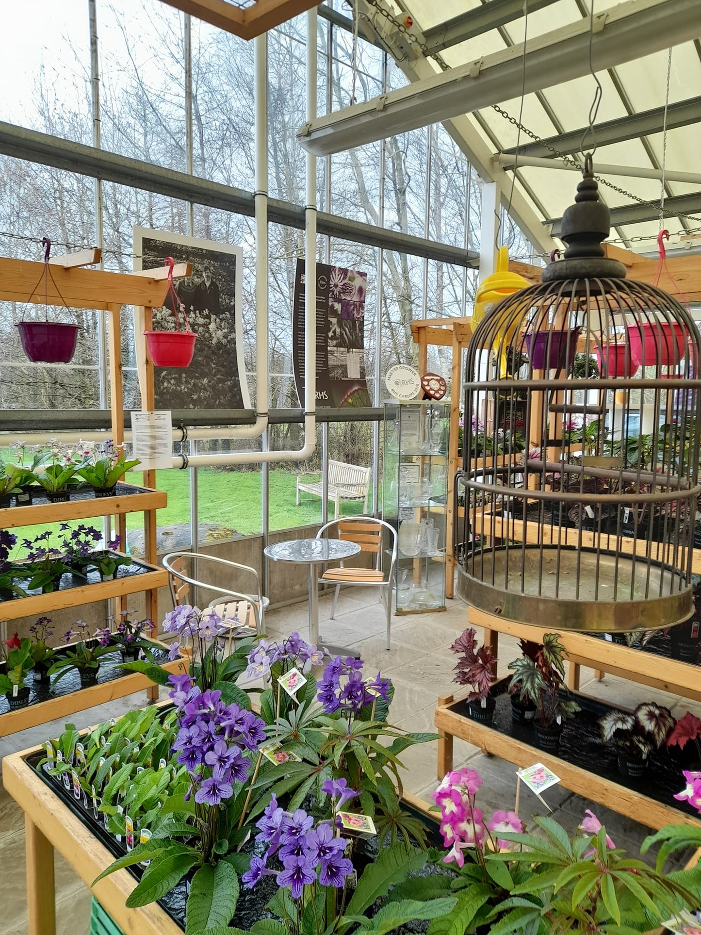 Nursery / Plant Collection Open Day - Saturday 12 April 2025