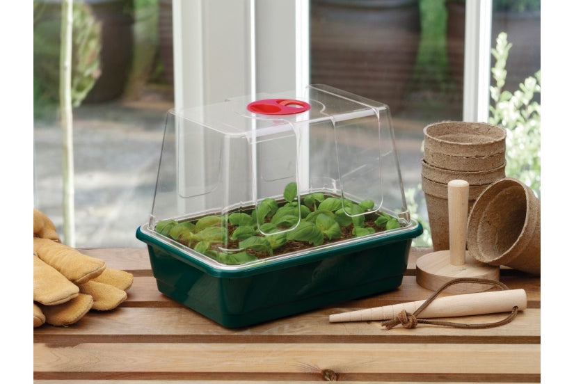 Small High Dome Propagator With Holes