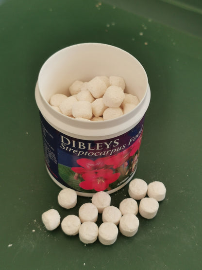 > DIBLEYS F00D TABLETS - Streptocarpus Food Tablets