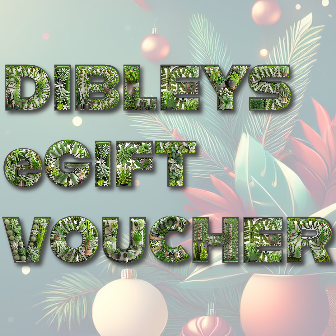 Dibleys eGift Voucher