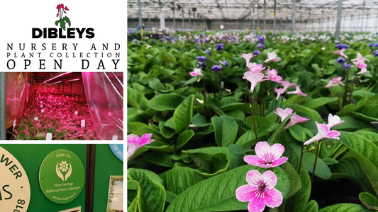 Nursery / Plant Collection Open Day - Saturday 12 April 2025