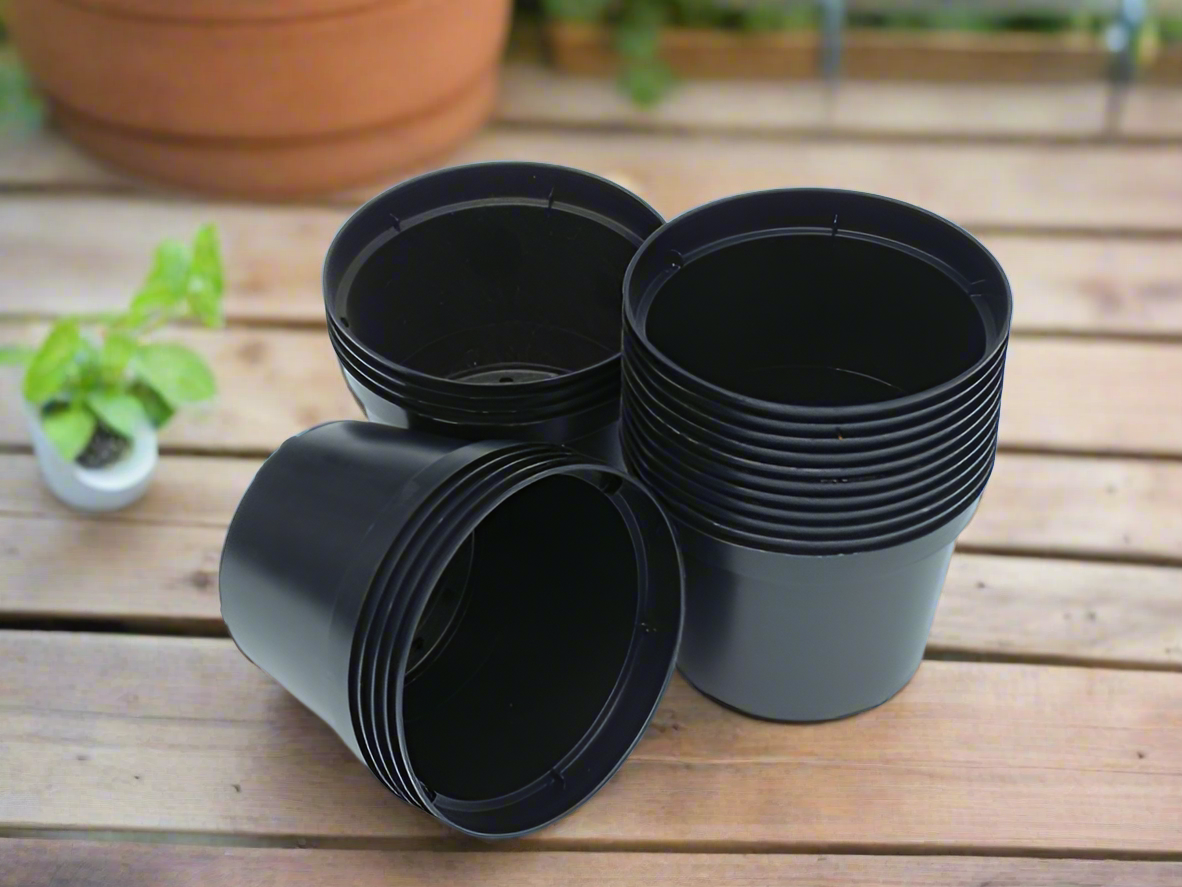 Plant Pots