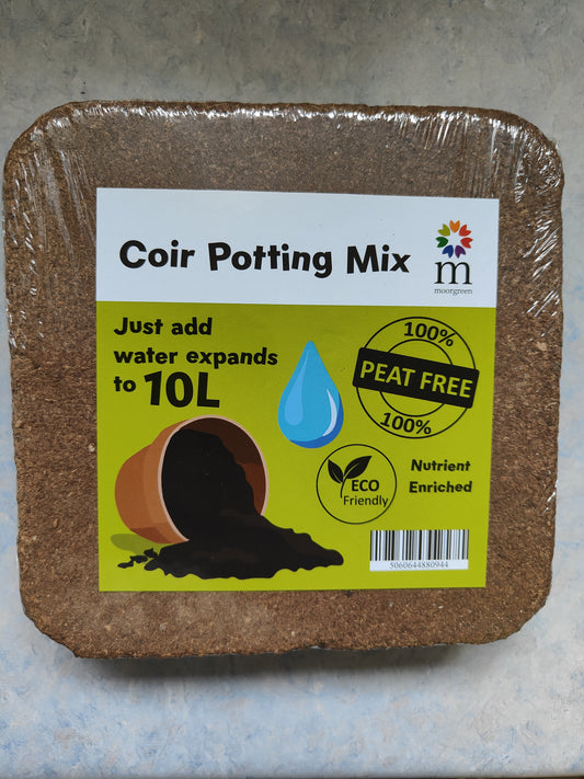 Coir Potting Mix