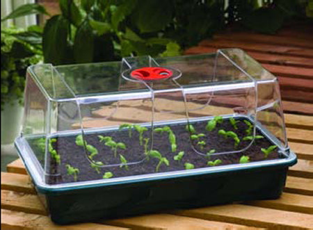 High Dome Propagator - Dibleys